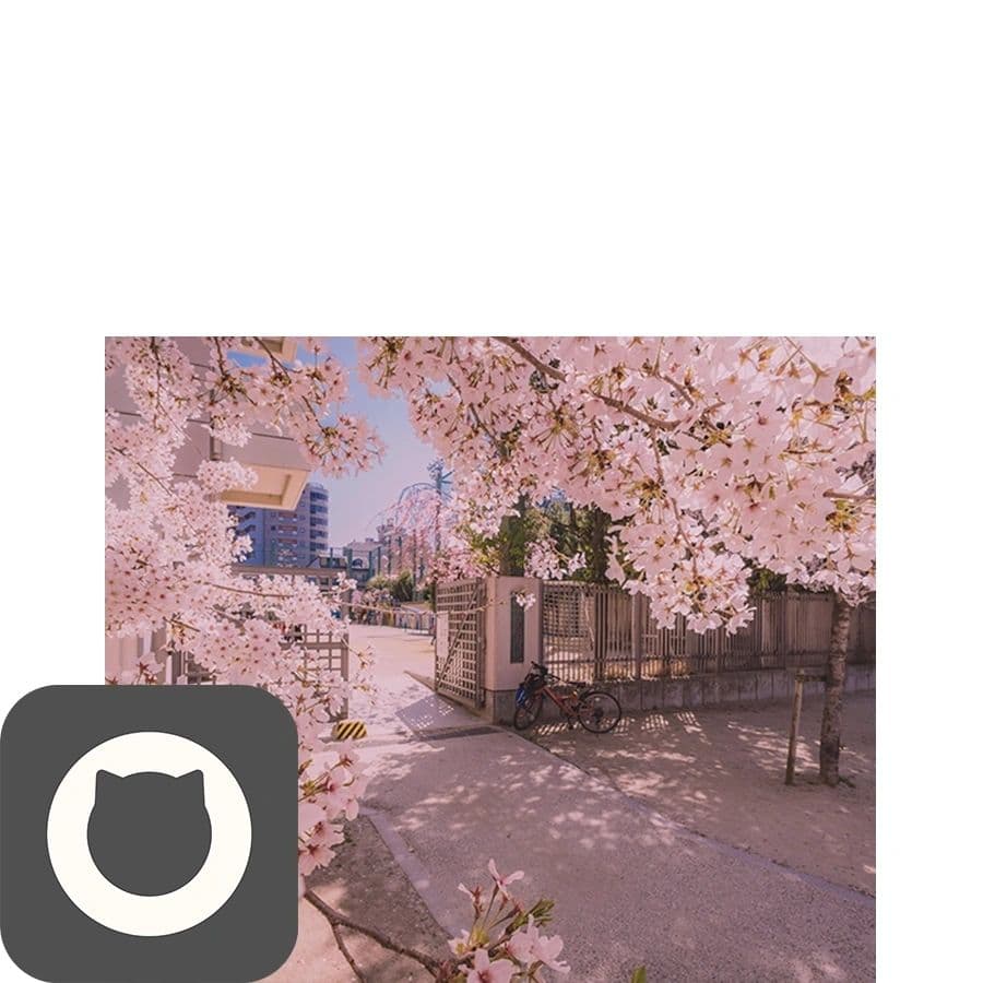 Love Hana image 1